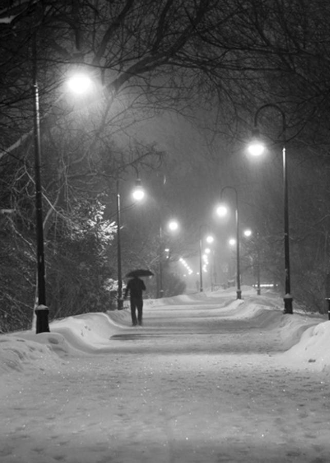 Davis Square
